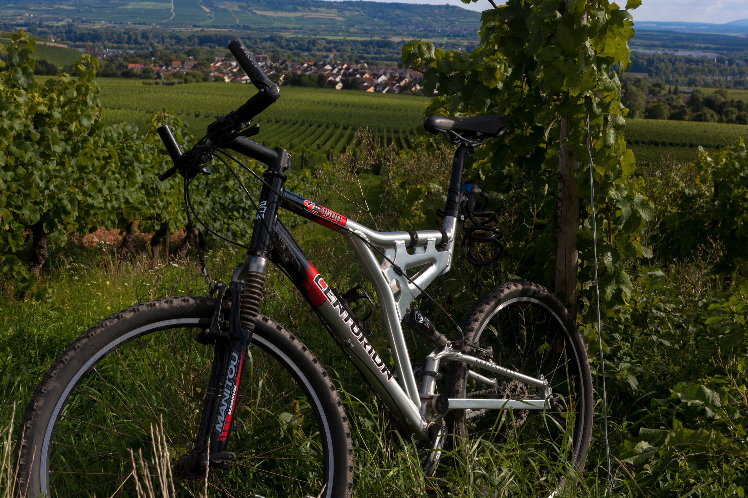 Rheingau